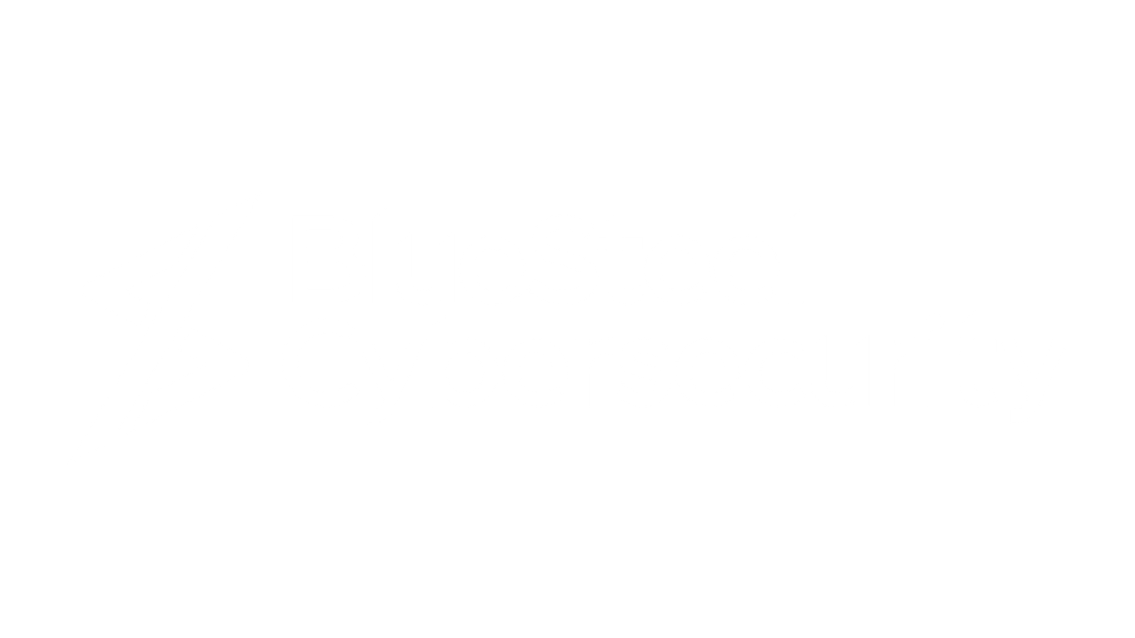 BlueSteel Cybersecurity_white