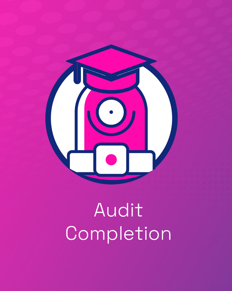 Audit Completion
