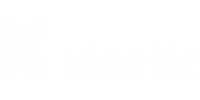 Kinetik Logo_White