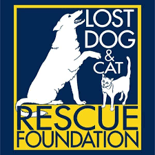 lost dog and cat rescue foundation